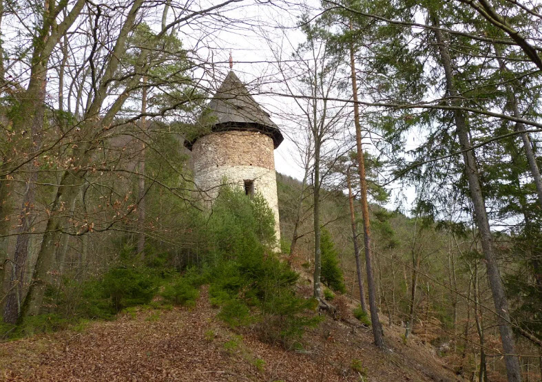 Ruine Weissenegg, Ruden, Austria, Austria